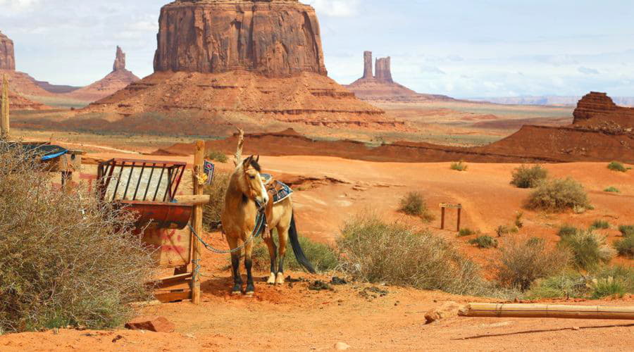 Las mejores opciones de alquiler de coches en Oljato-Valle Del Monumento